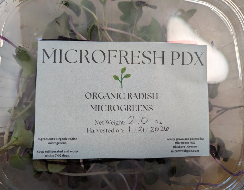 Red Rambo Radish Microgreens
